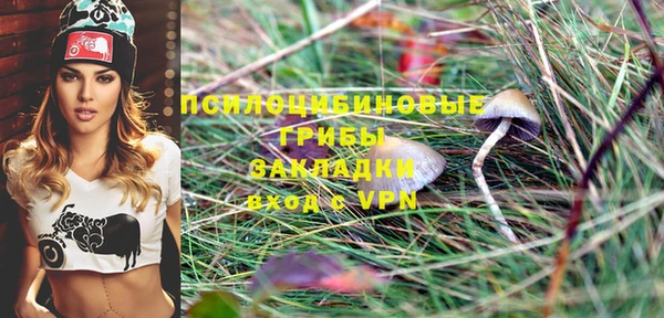 эйфоретик Армянск
